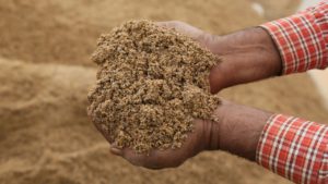 m sand plant in Udaipur, m sand supplier in Udaipur, m sand dealer in Udaipur, m sand manufacturer in Udaipur, manufactured sand in Udaipur, artificial sand in Udaipur, manufactured sand supplier in Udaipur, manufactured sand dealer in Udaipur, m sand in Udaipur.